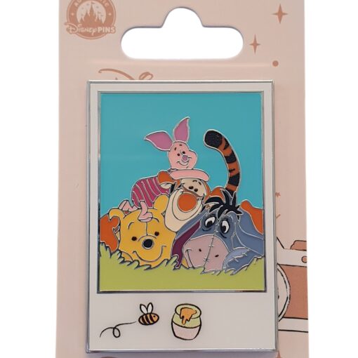 Disneyland Paris – Winnie the Pooh – Portrait – Collector Pin – DLP Exclusive