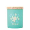 Disney Home Fragrance – Stitch Palm Leaf & Malay Apple – Candle
