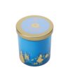 Disney Home Fragrance – Cinderella Gardenia/Pumpkin – Kaars